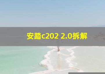 安踏c202 2.0拆解